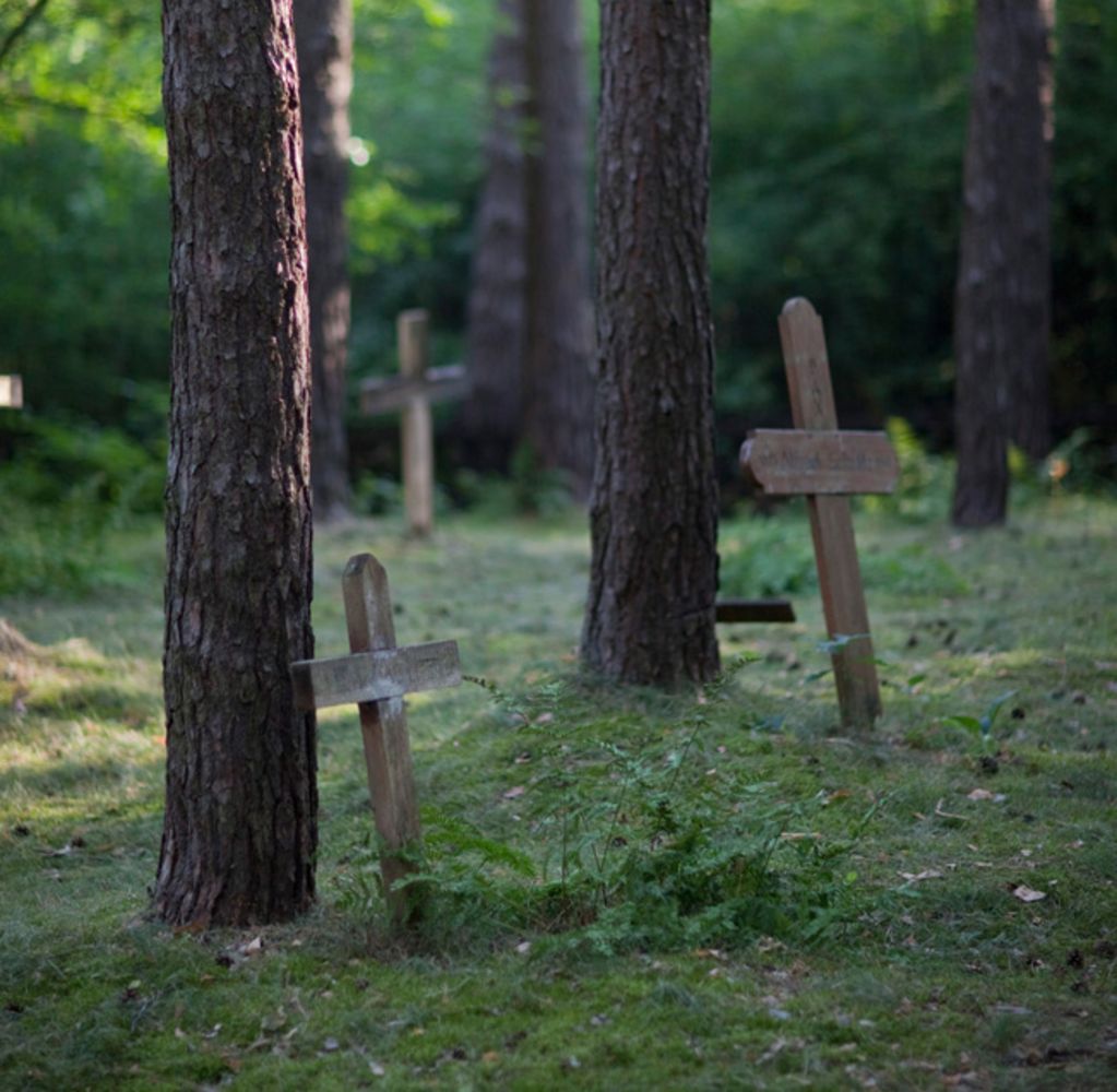 Friedhof im Schmachtenhagener Forst (Foto: F. Steinhausen)
